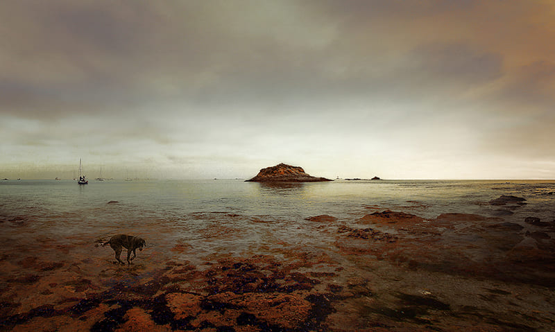LA PHOTO DU MARDI | Nicolas Bocquel