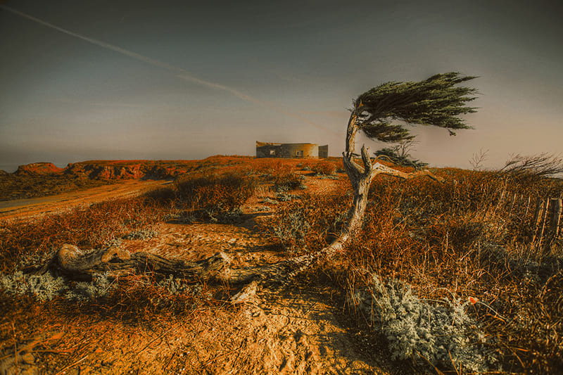 LA PHOTO DU MARDI | Nicolas Bocquel