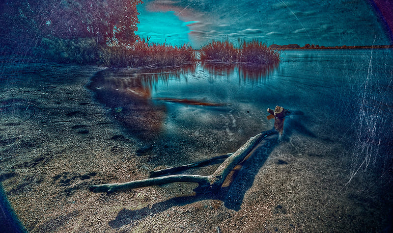 LA PHOTO DU MARDI | Nicolas Bocquel