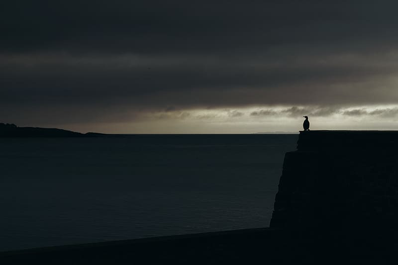 LA PHOTO DU MARDI | Nicolas Bocquel
