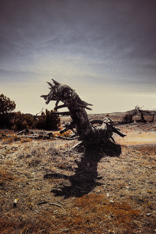 LA PHOTO DU MARDI | Nicolas Bocquel