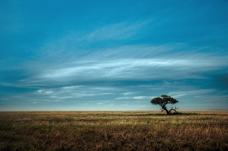LA PHOTO DU MARDI | Nicolas Bocquel