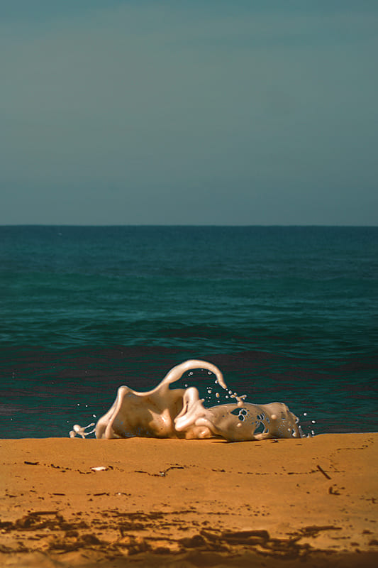 LA PHOTO DU MARDI | Nicolas Bocquel