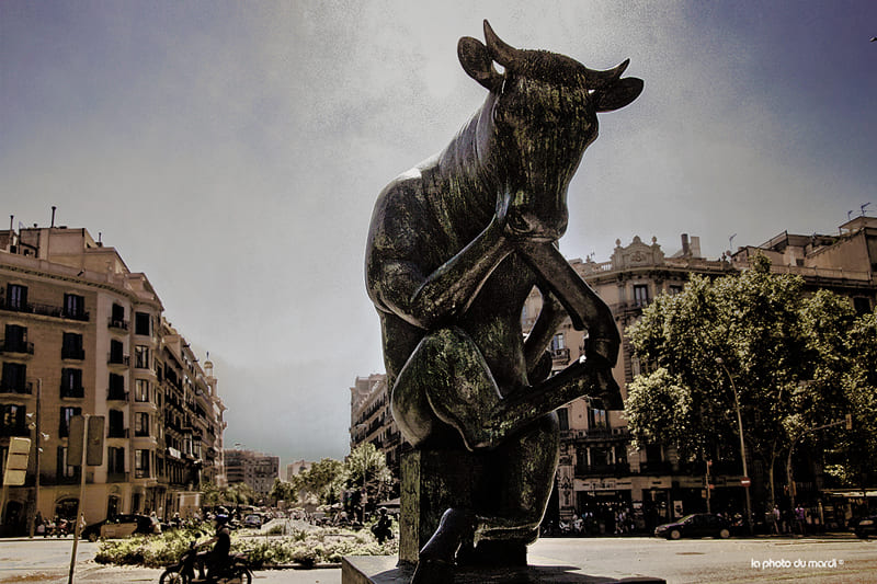 LA PHOTO DU MARDI | Nicolas Bocquel