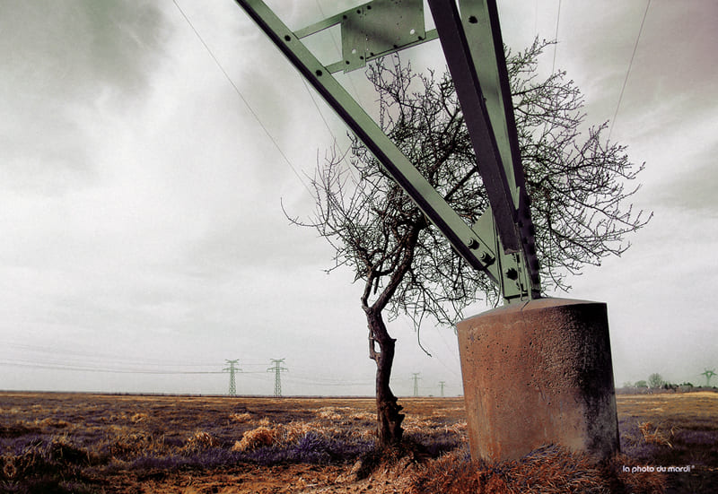 LA PHOTO DU MARDI | Nicolas Bocquel