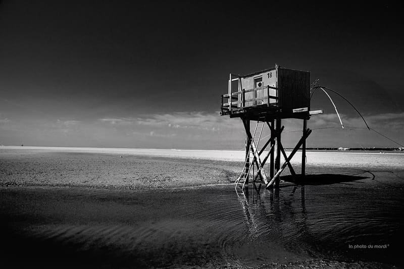 LA PHOTO DU MARDI | Nicolas Bocquel