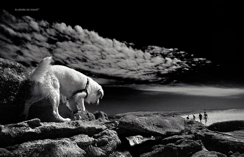 LA PHOTO DU MARDI | Nicolas Bocquel