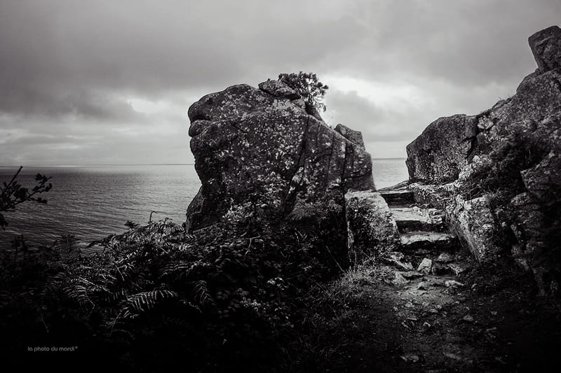 LA PHOTO DU MARDI | Nicolas Bocquel