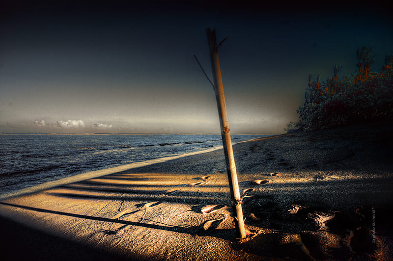 LA PHOTO DU MARDI | Nicolas Bocquel