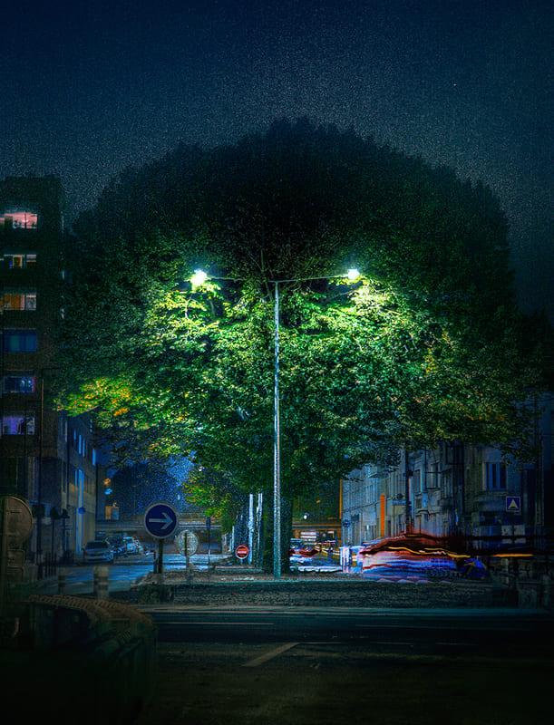 LA PHOTO DU MARDI | Nicolas Bocquel