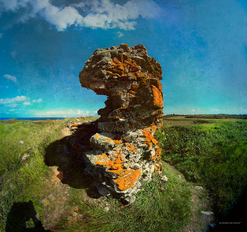 LA PHOTO DU MARDI | Nicolas Bocquel