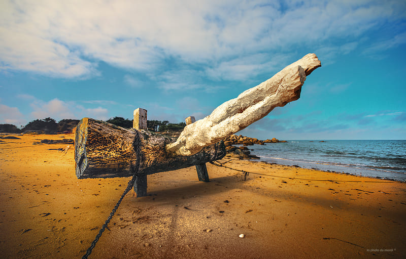 LA PHOTO DU MARDI | Nicolas Bocquel
