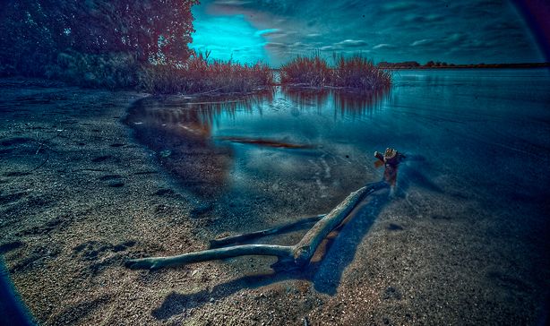 Wish You Were Here / La Loire / Le Pellerin (44)