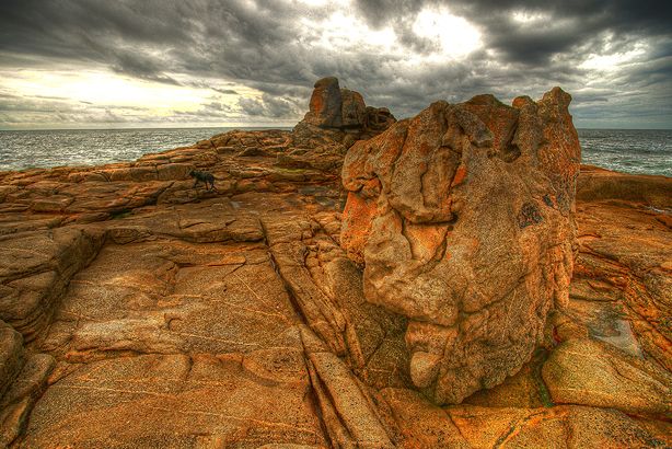 Sympathy for the Devil / Ile d'Hoëdic (56)