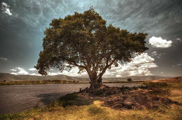 Dark Matter / N'Gorongoro Crater (Tanzanie)