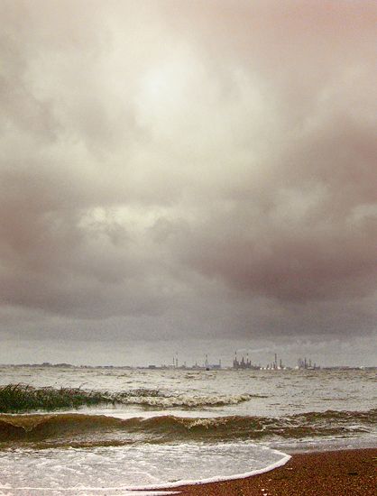 Brain Damage / Estuaire de la Loire à Paimboeuf (44)