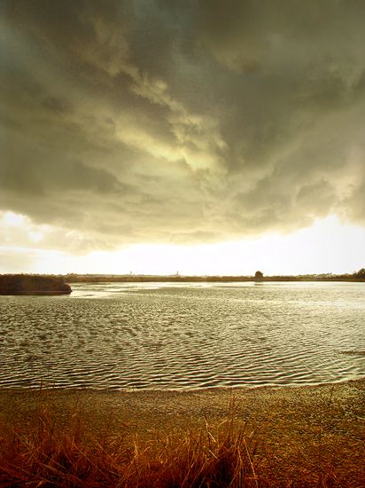 Delicate Sound of Thunder / Marais Salants / Guérande (44)