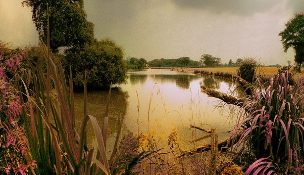 Dinosaures / Etang de la Jubine (44)